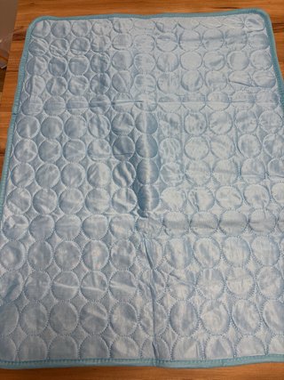 Esterilla para mascotas azul