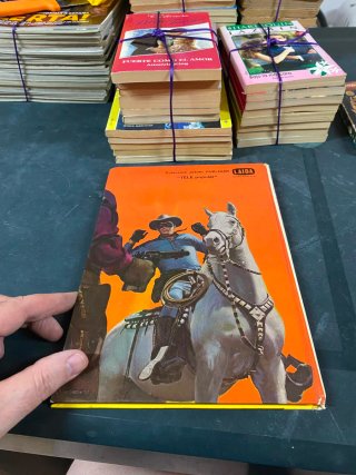 El Llanero Solitario, Años 70