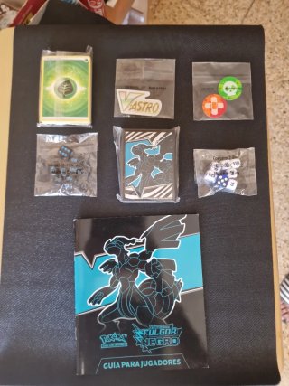 Accesorios Pokémon: Dados, Fichas, Guía...