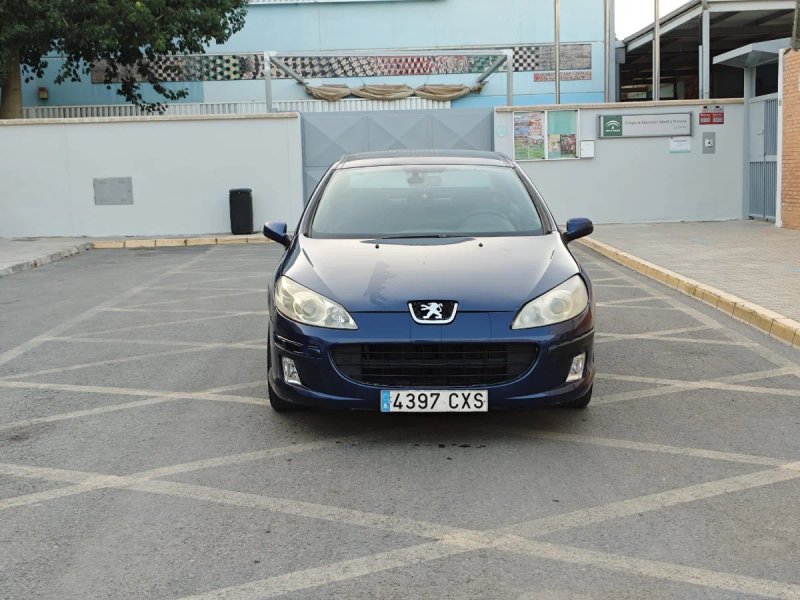 Peugeot 307 2004 - foto 1