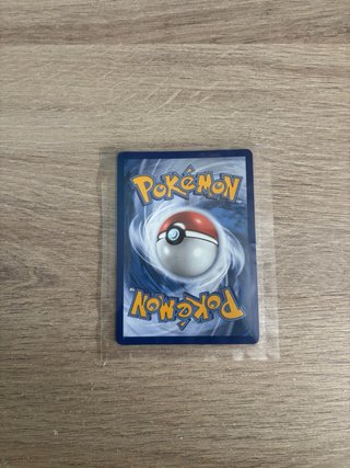 Carta Pokémon Mega-Pyroar EX