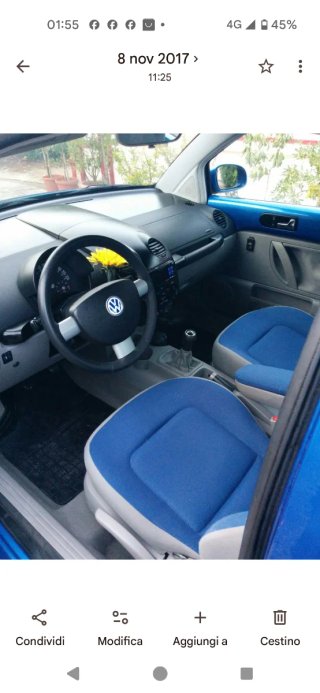 Volkswagen Beetle 2000