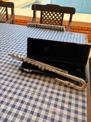Funda para flauta travesera