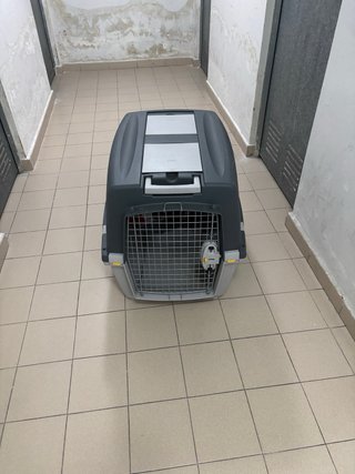 Transportín perro mediano usado