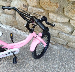 Bicicleta niña rosa 16 con ruedines