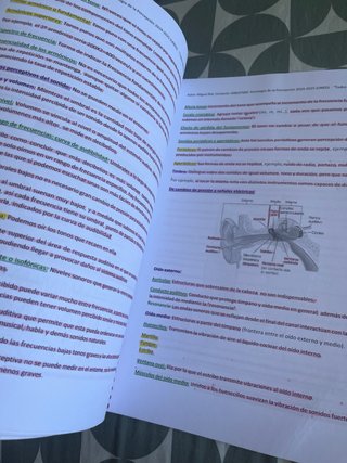 apuntes psicología de la percepción