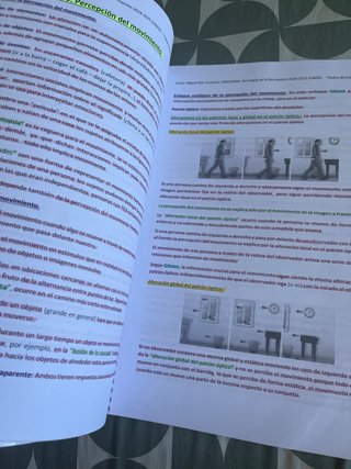 apuntes psicología de la percepción