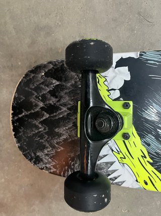 Skate Oxelo Lobo