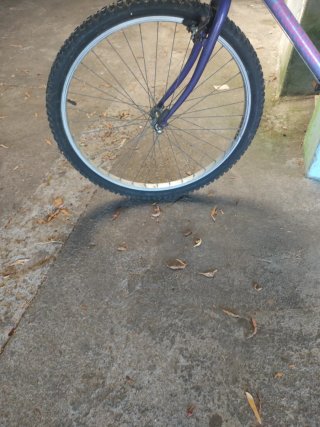 Bicicleta Morada