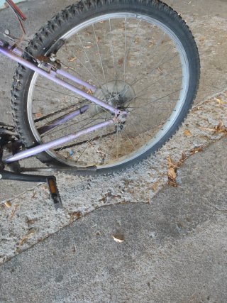 Bicicleta Morada