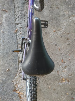 Bicicleta Morada