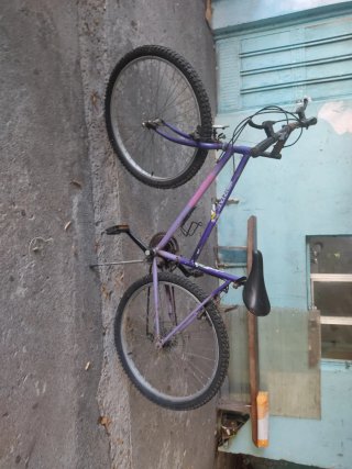 Bicicleta Morada