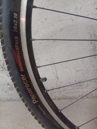 Bicicleta Scott Lite