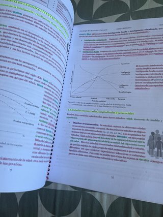 apuntes psicología del desarrollo