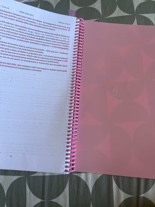 apuntes psicología del desarrollo