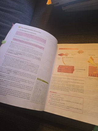 Anatomía aplicada Bachillerato 1