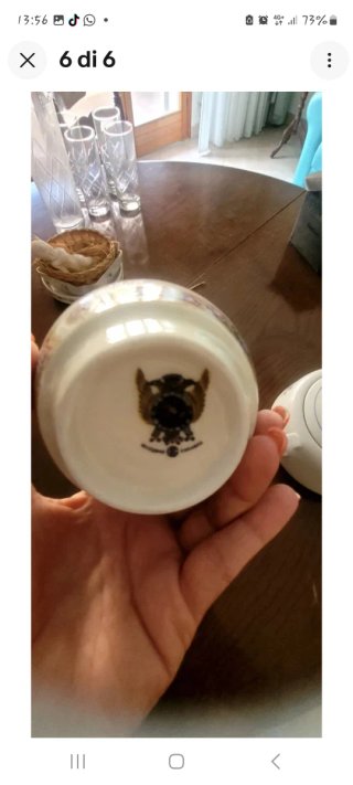 Servizio Tè/Caffè Porcellana Bavarese