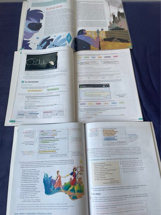 Lengua Castellana y Literatura 3, Secundaria, R...