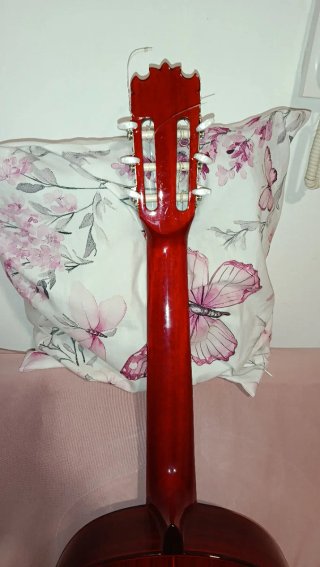 Guitarra Francisco Bros Especial 2026