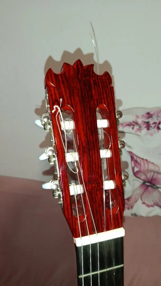 Guitarra Francisco Bros Especial 2026