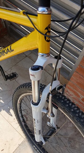 Bicicleta RADIKAL Tornado