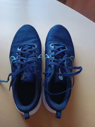 Zapatillas Nike Downshifter Azul