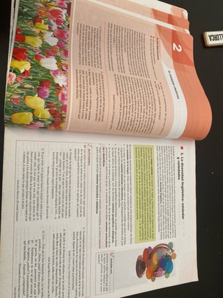 LA+SB Lengua castellana y literatura 1 Bachille...