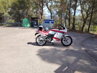Honda NS 125 R sport Roja y Blanca