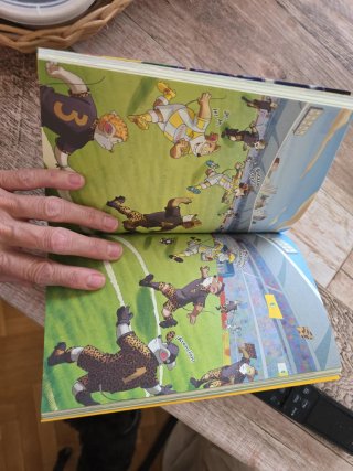 LIBRO GERINIMO STILTON