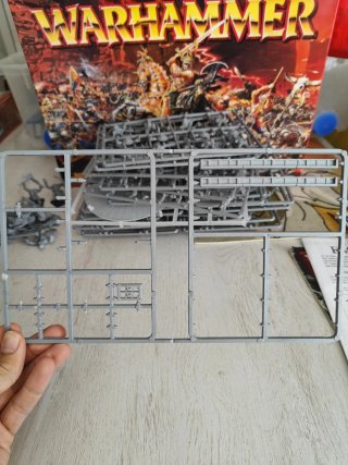 Warhammer Fantasy Caja Inicio 6ª Edición