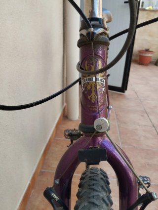Bicicleta Montaña Bianchi Peregrine Morada