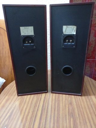 Altavoces Diweiqi Madera Retro 30-150w(RMS)