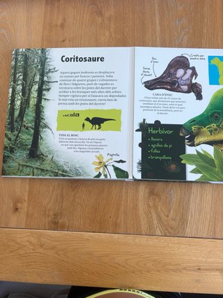 Dinosaures, gegants prehistòrics