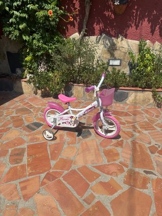 Bicicleta infantil rosa con ruedines