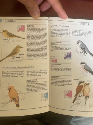 Guida Animali D’Italia e Europa