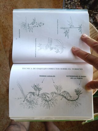 Libro
