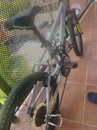 Bicicleta Infantil Gris y Verde