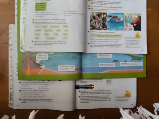 Proyecto: FanFest. Ciencias de la Naturaleza 5