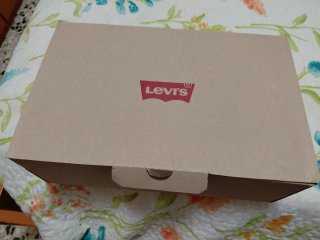 Zapatos Levi's Marrones Hombre