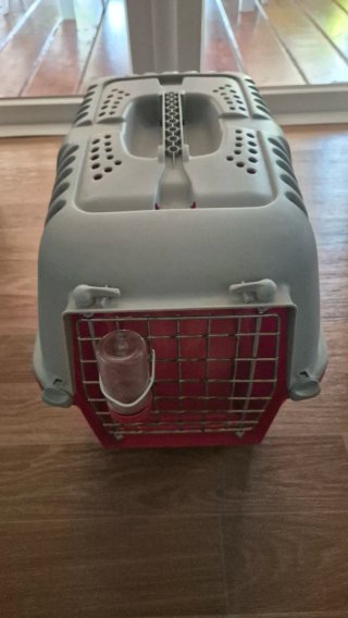 Transportín para mascotas gris y rojo