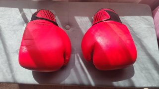 Guantes de Boxeo Rojos 12oz