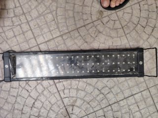 Pecera 60L con mesa y filtro