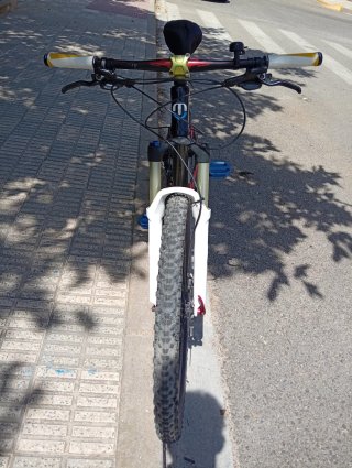 Bicicleta Mondraker downhill personalizada.