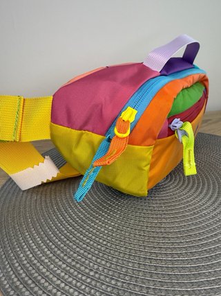 Cotopaxi 3L Riñonera Multicolor