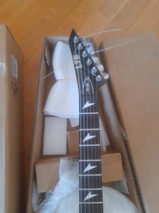 Guitarra eléctrica ESP LTD y Pedalera Zoom G2XFour