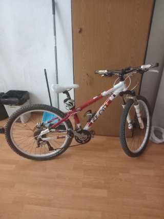 Bicicleta