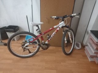 Bicicleta