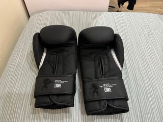 Guantes Boxeo Leone 14oz Nuevos