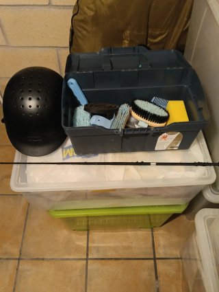 Accesorios Hípica: Casco, Cepillos y Más