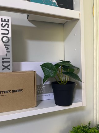 Planta Artificial Decorativa Negra